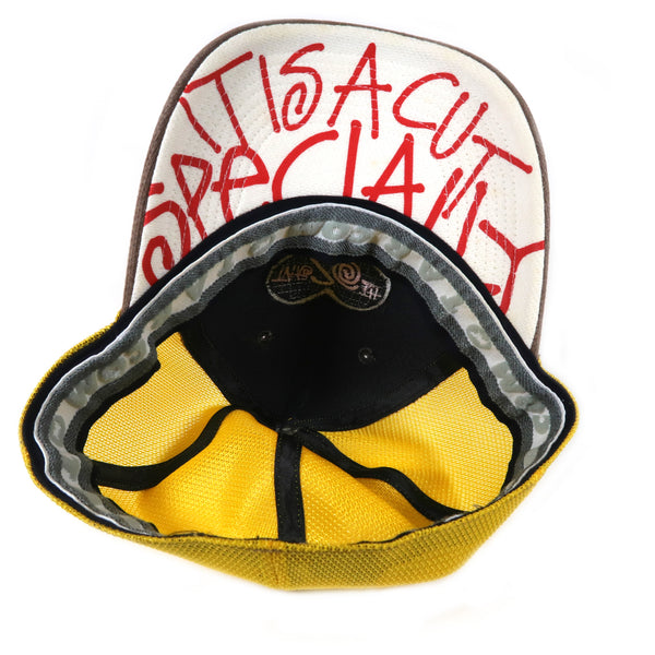TAR 20TH Truker Cap